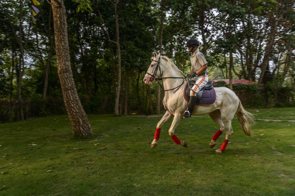 Gokarna Forest Resort Katmandu Eksteriør billede