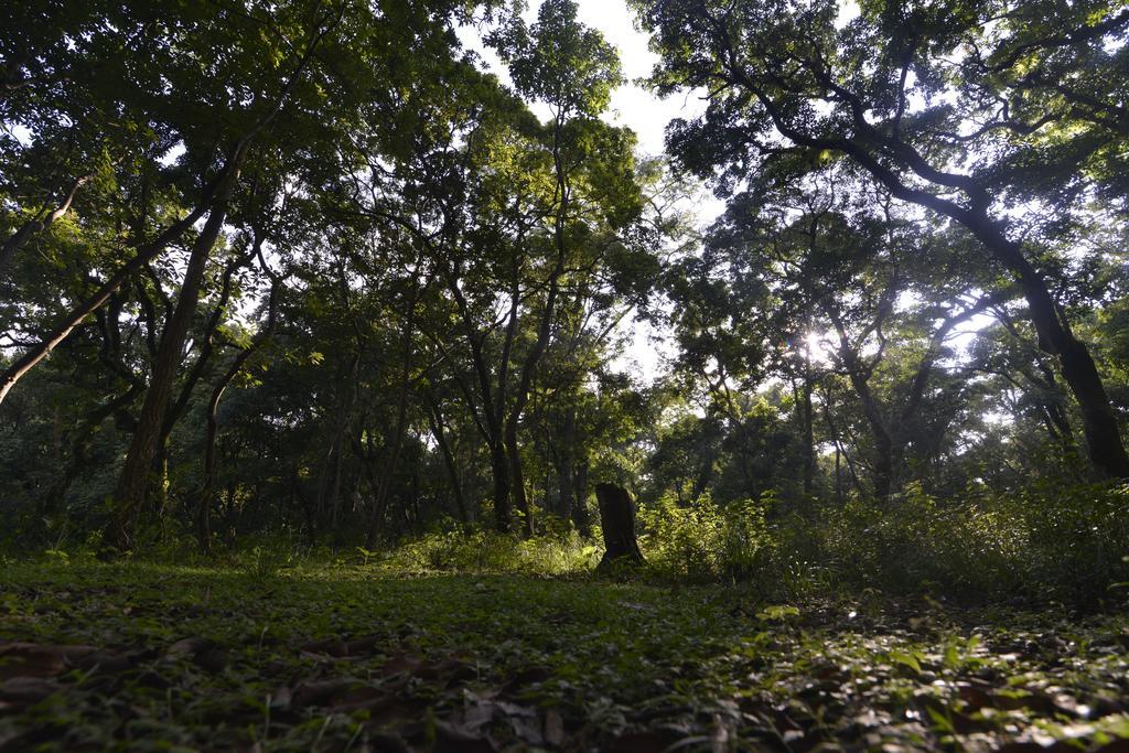Gokarna Forest Resort Katmandu Eksteriør billede