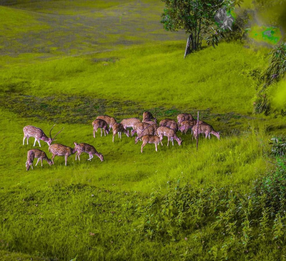 Gokarna Forest Resort Katmandu Eksteriør billede